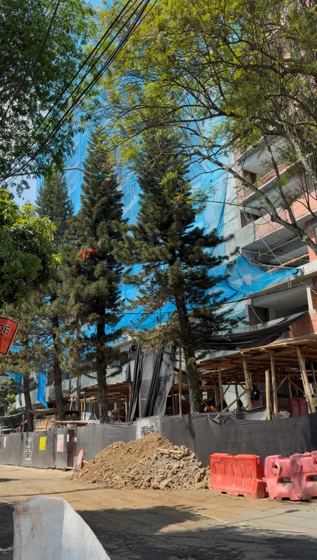 Mazo Arquitectura